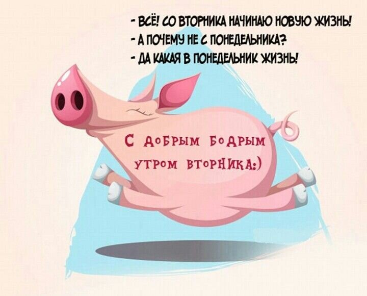 С ДОБРЫМ УТРОМ ☀️ — Про утро вторника: прикольные приколы в картинках —  Открытки со вторником, юмор — Смешные картинки про вторник на работе - ☀️  SUN 🥳 ПРАЗДНИКИ 🎁 ОТКРЫТКИ