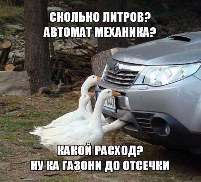 автоюмор #авто #юмор | Vehicles