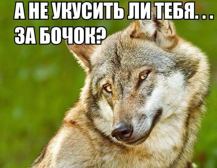 eca740993a924dd83fdab02d4a36dabc.jpg