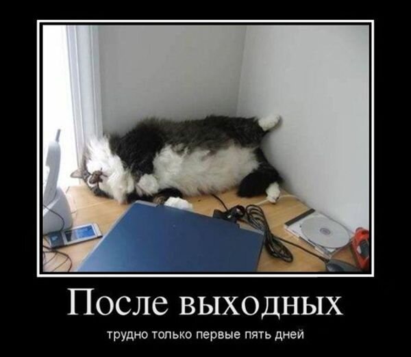 ТОП лучших демотиваторов про понедельник | Смешно, Юмор про ...