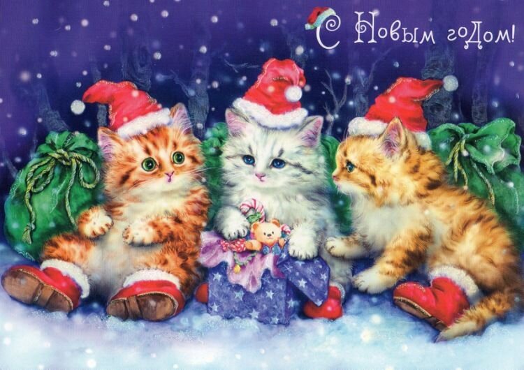 Открытка милые котята поздравляют с новым годом - лучшие поздравления в  категории: Открытки С новым годом (3 фото, 2 видео) на ggexp.ru