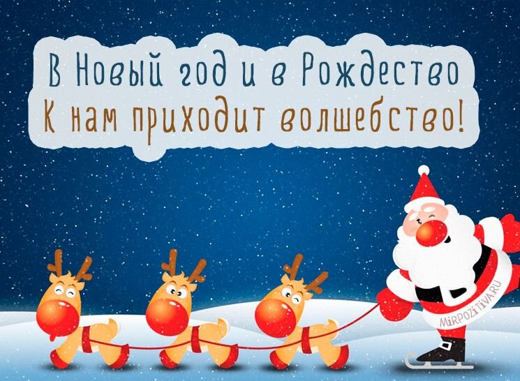 В Новый год и в Рождество К нам приходит волшебство | Новогодние открытки,  Смешные поздравительные открытки, Открытки