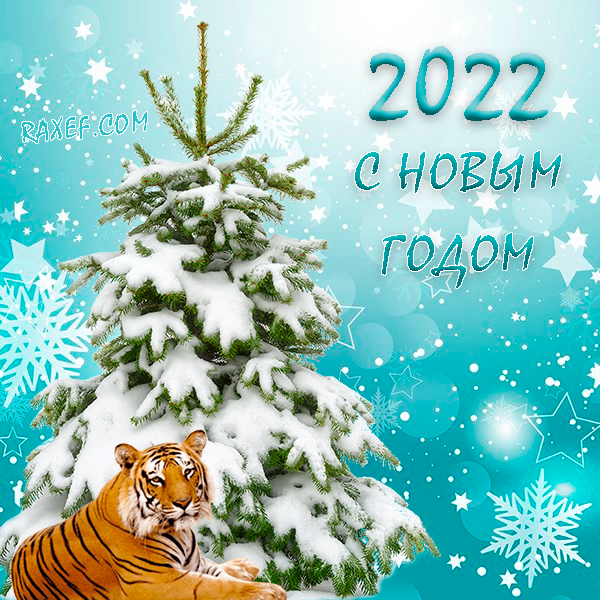 С новым 2022 годом тигра! Открытки! Картинки! Открытка с новым годом тигра!  Красивая картинка с... Страница 6 в 2021 г | Новогодние пожелания,  Открытки, Новогодние записки