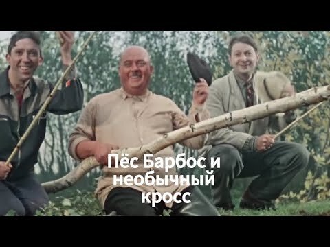 Пёс Барбос и необычный кросс. Комедия, реж Леонид Гайдай, 1961 г - YouTube