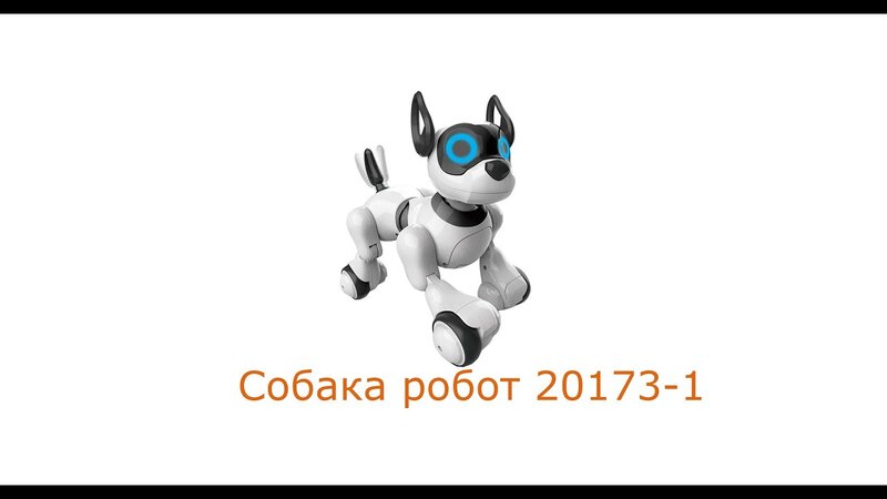 Интерактивная собака робот 20173-1 - YouTube