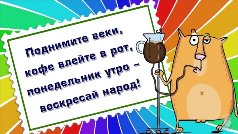 Удачного понедельника! Порция отборного юмора про понедельник! С добрым ...