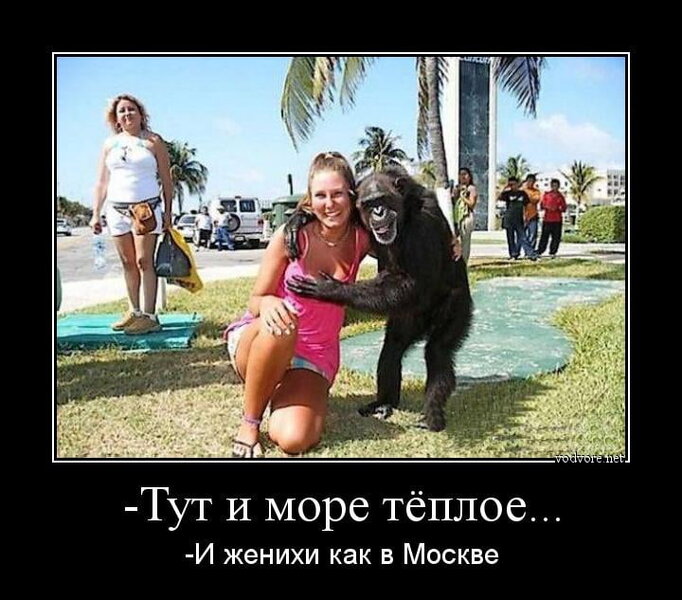 Picture background