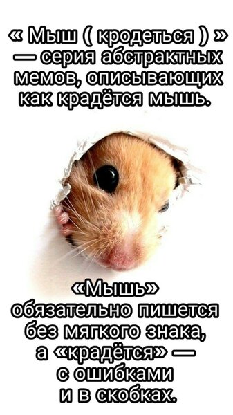 9522_original.jpg