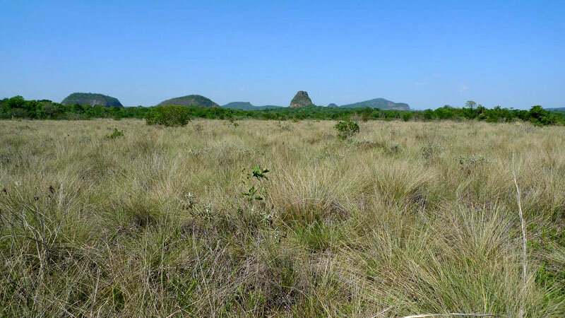 cerro-cora2