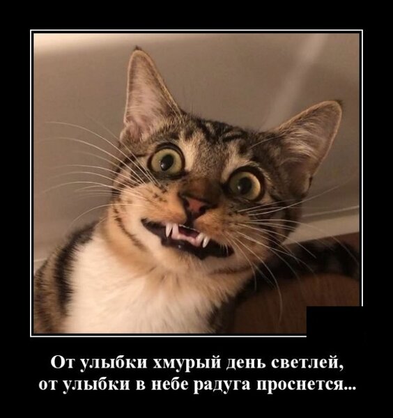 Картинки по запросу "картинки утро понедельника"