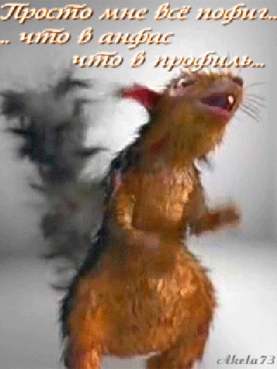 0_d4d4c_dcc96f28_orig.gif