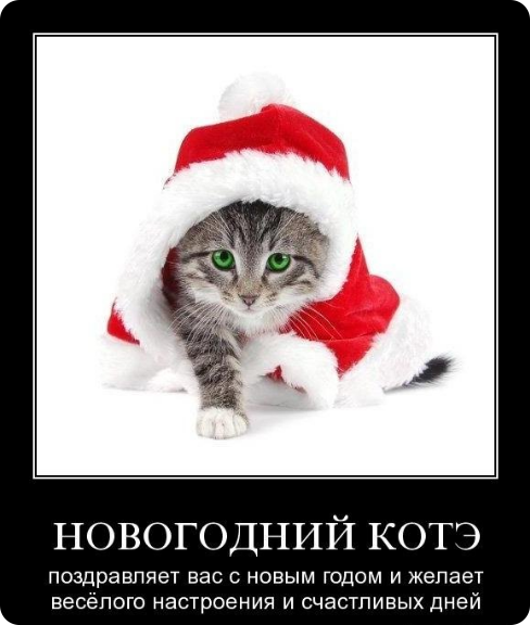 81153862_Novuyy_god_pozdravlenie.png