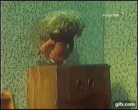 RgymW0.gif