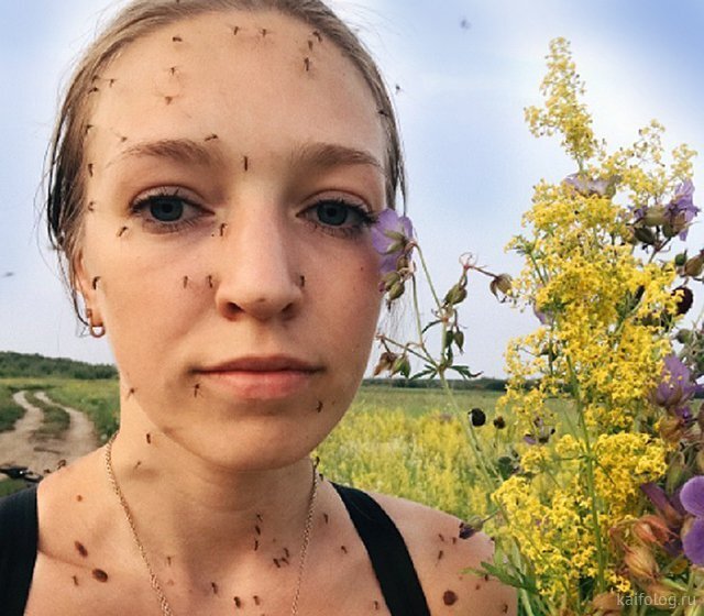 Приколы про комаров (35 картинок)