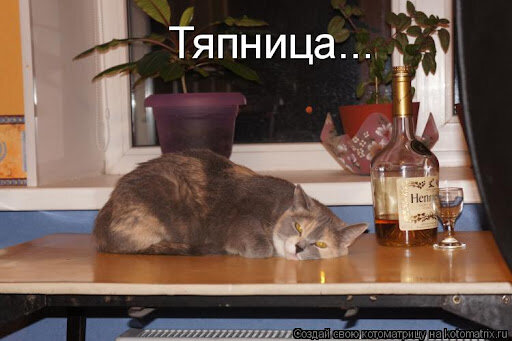 Котоматрица: Тяпница...