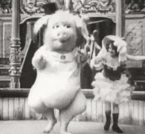 dancing-pig-retro.gif