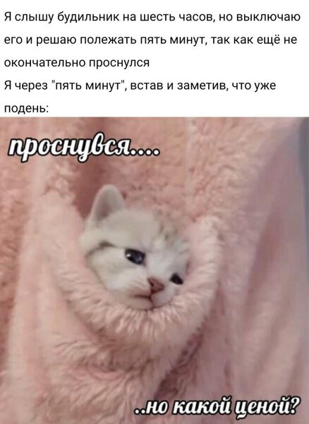 Запись пользователя Коть猫Неко(ть) 15 июня 2022 в 12:09 | Мемозг