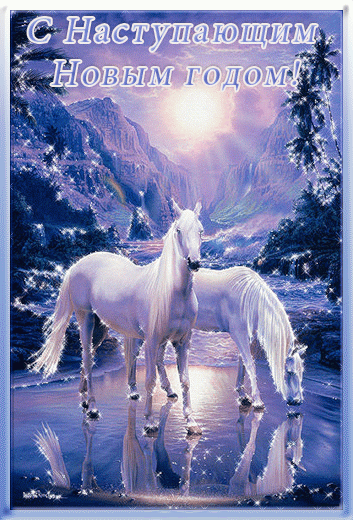 Год Лошади | Все время праздник