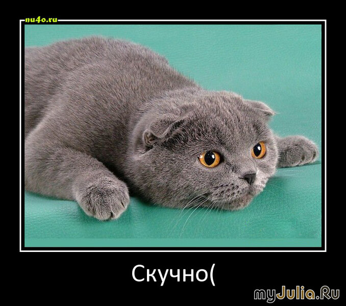 232768793_d68701a50c09f88d58dd8b8ee1db26