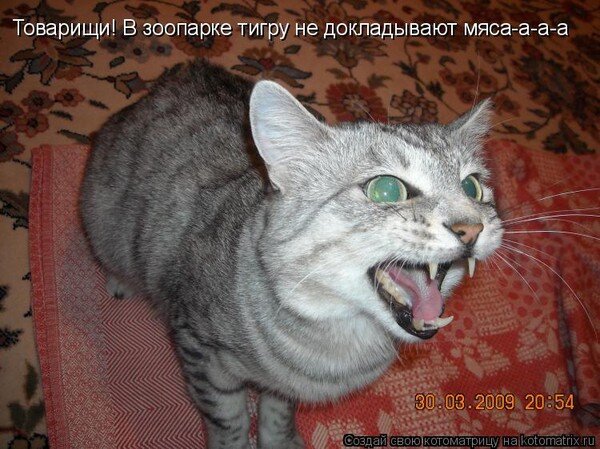 48b23b7bc6642789b83fb1f136b72df2_i-1062.