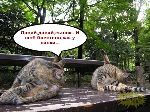 b5ca8bd342ef815cad7e47d94abbf002_i-1294.