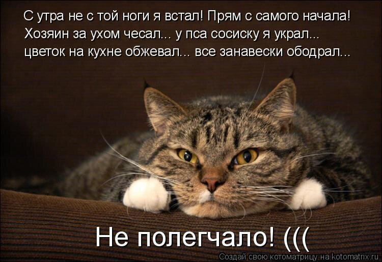 u_30a85736e4d5efe7deae876874002653_800.j