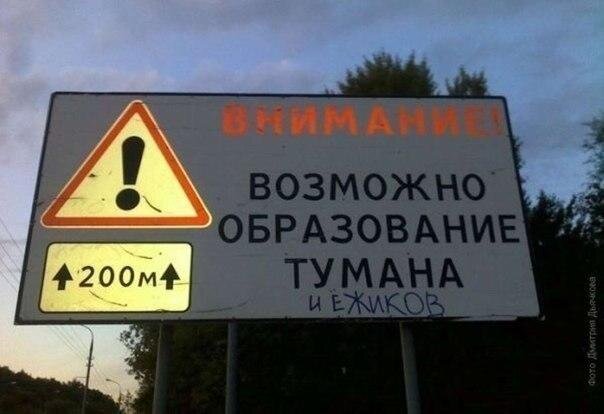 A_orNI2CIAAoWT3.jpg:large