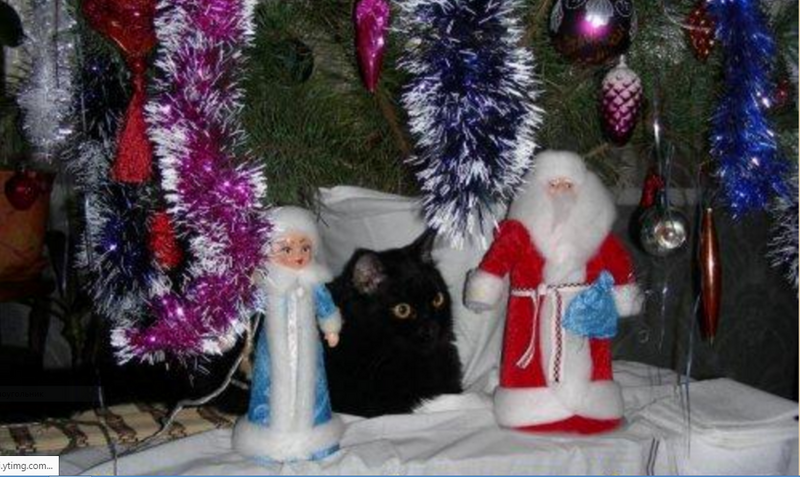 CXpa_MsUwAEgTAA.png:large