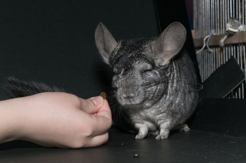 DgyUwHqW4AA-Yct.jpg:large