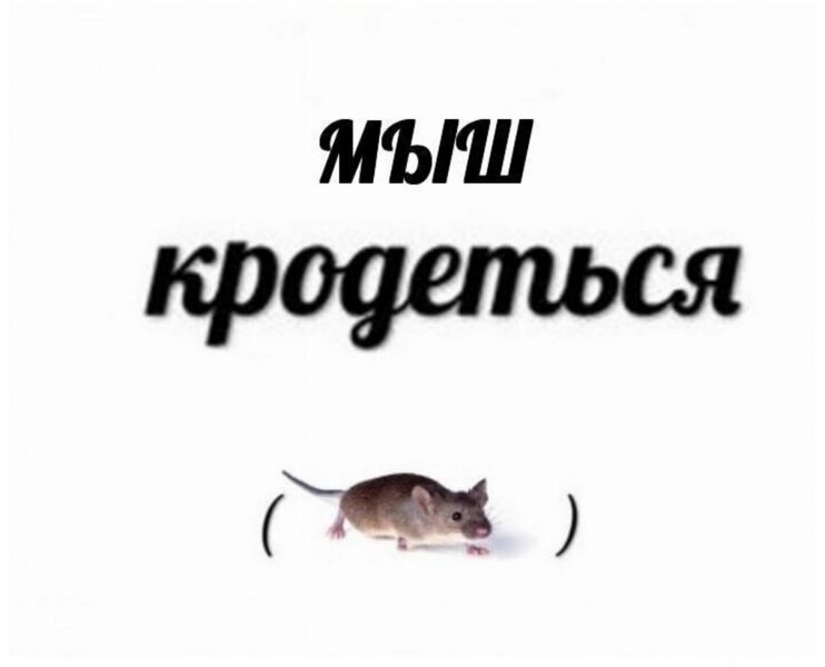 mi1-1024x827.jpg