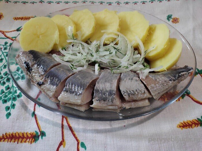Селедка с картошкой и маринованным луком - вкусная холодная закуска