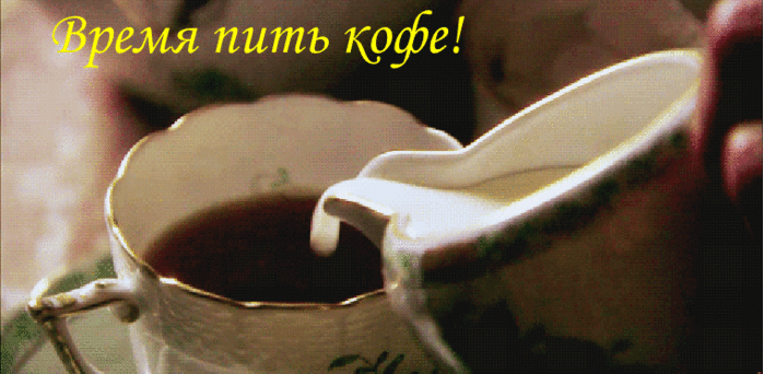 1869727.gif