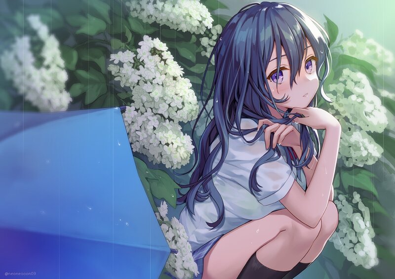 dHiX8WFUgoo.jpg