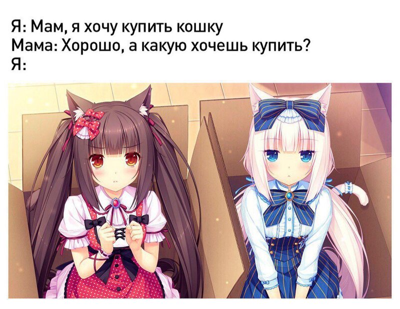 3aCqqGBlv64.jpg