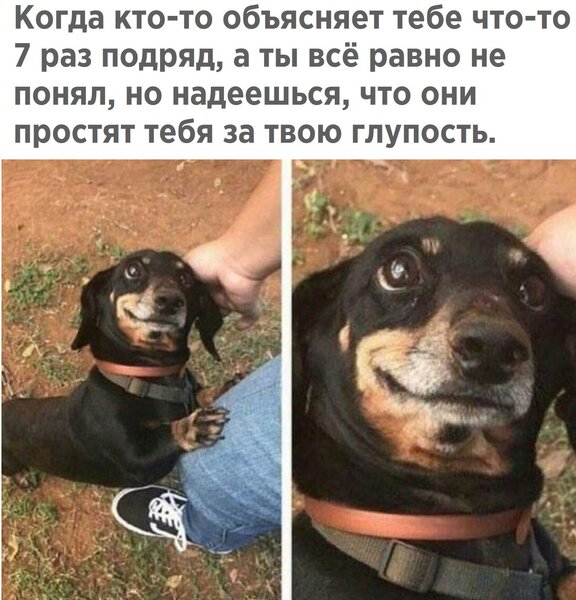 nR6Qg8dg_tY.jpg