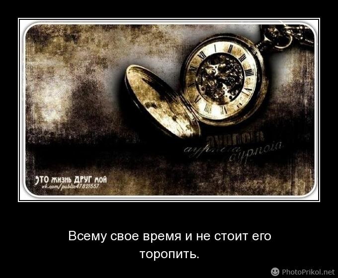 403b3d0375a9114fdfb0cf73264183c50108e6ae.jpeg