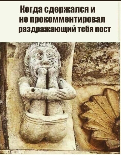 15238680.jpg