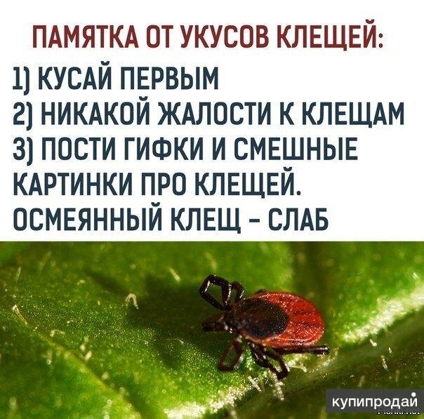 20120492.jpg