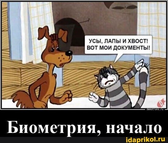Picture background