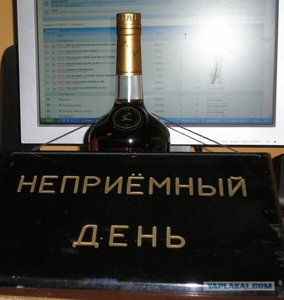 148687.jpg