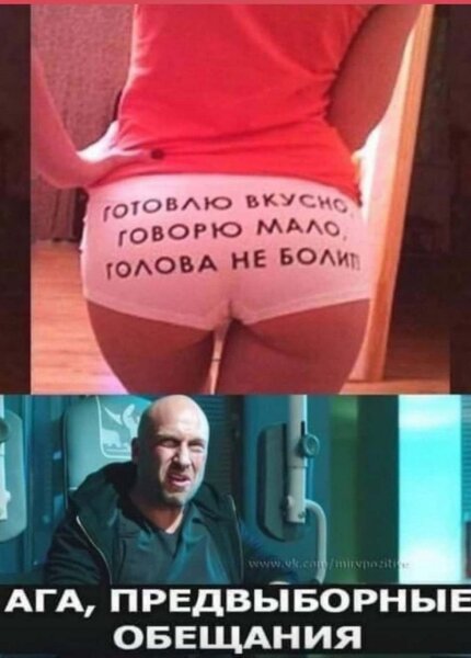 15425670.jpg