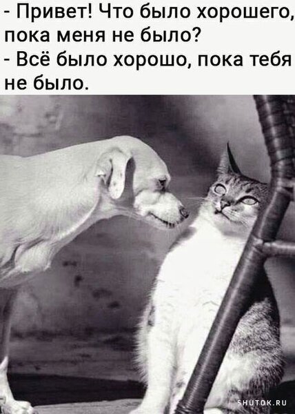 1707937761_shutok.ru.18845392.jpg