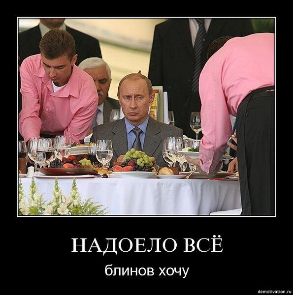 y_2e387785.jpg