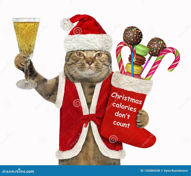 cat-santa-christmas-stocking-cat-santa-c