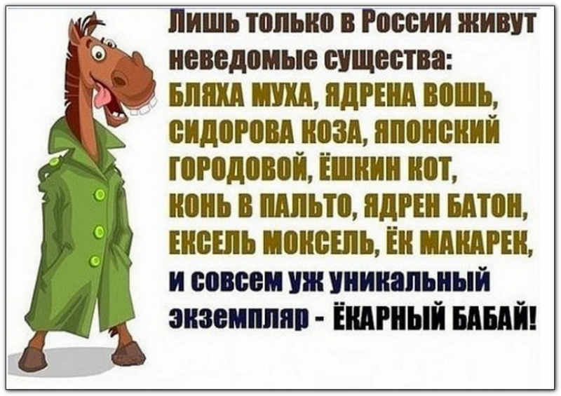 1491051093_image-22.png
