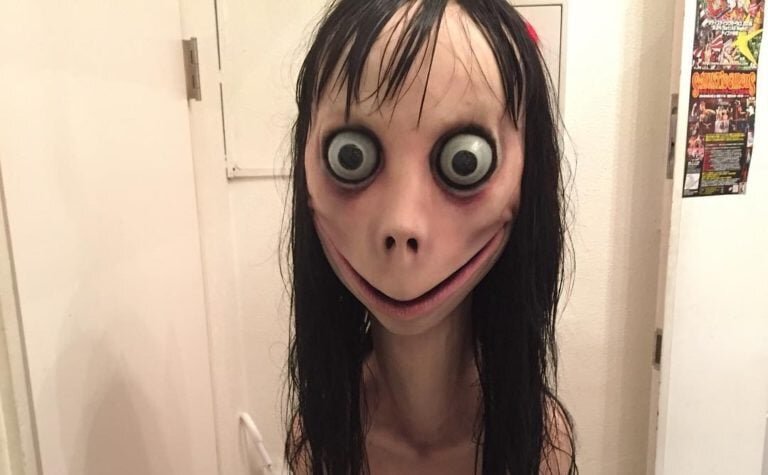 momo-cover-768x475.jpg