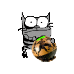 100.gif