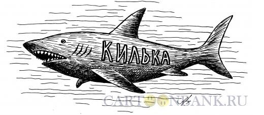 akula-kilka.jpg