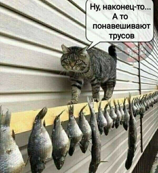 Мем №1410056 Мем, tet