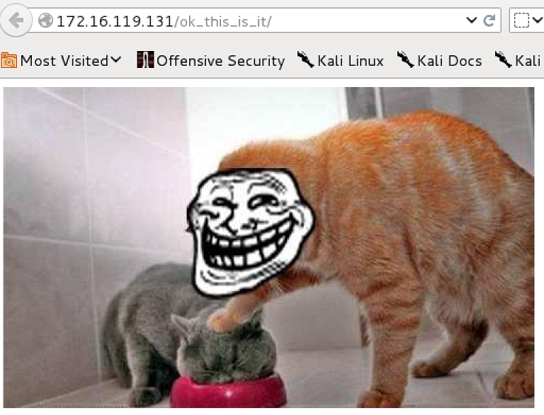 tr0ll2-11-lolcat.png